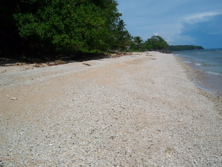 Pebbles Beach
